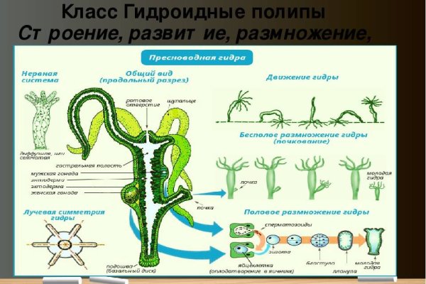 Кракен сайт сегодня